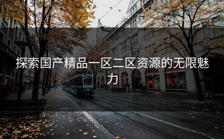 探索国产精品一区二区资源的无限魅力