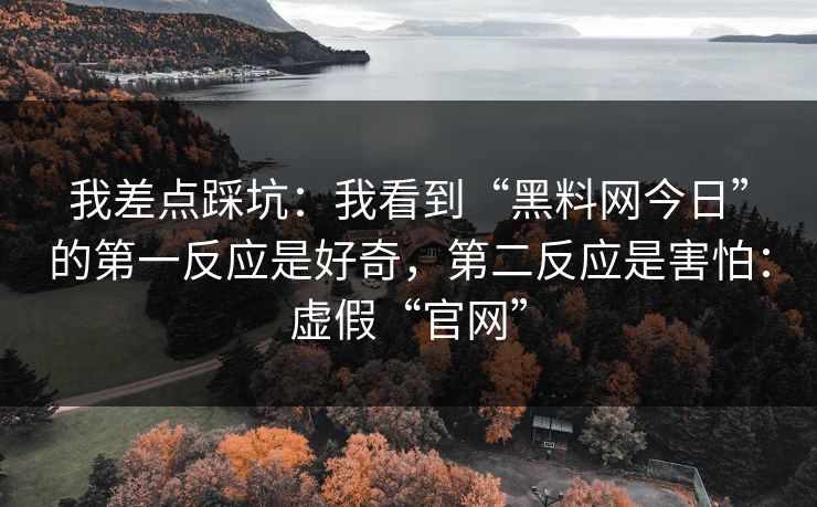我差点踩坑：我看到“黑料网今日”的第一反应是好奇，第二反应是害怕：虚假“官网”